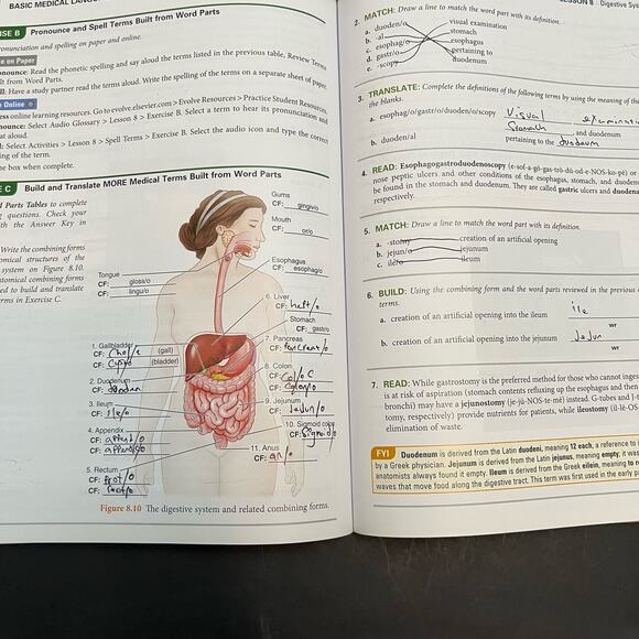 Basic Medical Language Sixth Edition - Book by Danielle S LaFleur - Picture 6 of 9